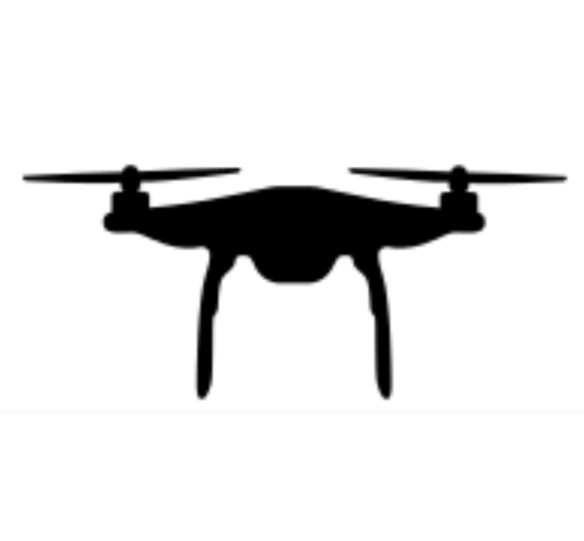 Drone Surveys